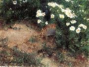bruno liljefors, Partridge with Daisies